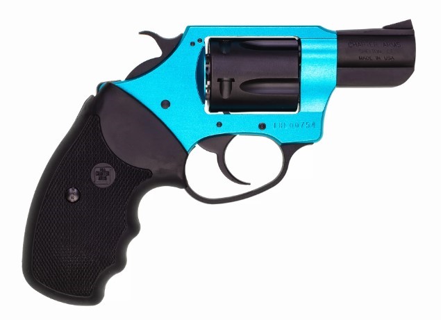 CHARTER ARMS SANTA FE SKY .38 SPL. ALUMINUM 5 SHOT 2IN FIXED STANDARD TURQUOISE BLACK PASSIVATE 53864 - Taurus Savings